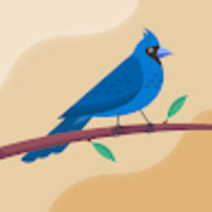 Meet your Posher, Kimbley